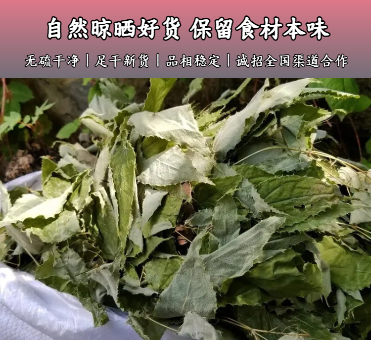 Epimedium Leaf Yin Yang Huo 500g Dried Herba Epimedii for Tea and Wine Infusion quality and texture