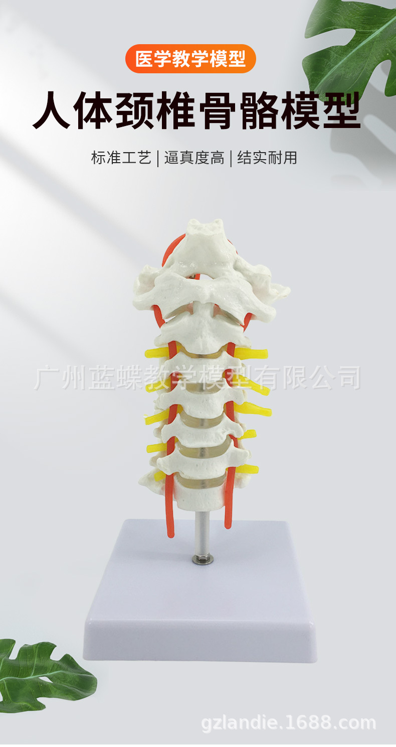 详情_01.jpg