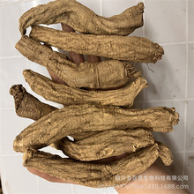 ���h�� �Ĵ��h�� �a�ذ�����ɽ 10���h�� ɢ�b500g��ș��һ�����l