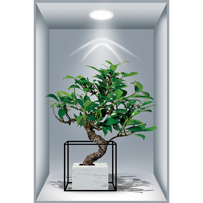 新款3D立体效果盆栽贴画客厅三联装饰画出租屋过道楼梯墙面自粘画|undefined