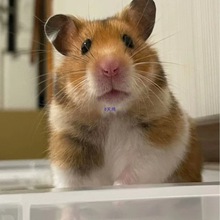 ���B�����z�ܻ���ɐ�����w���N���܂}�����y��ë��ҧ��