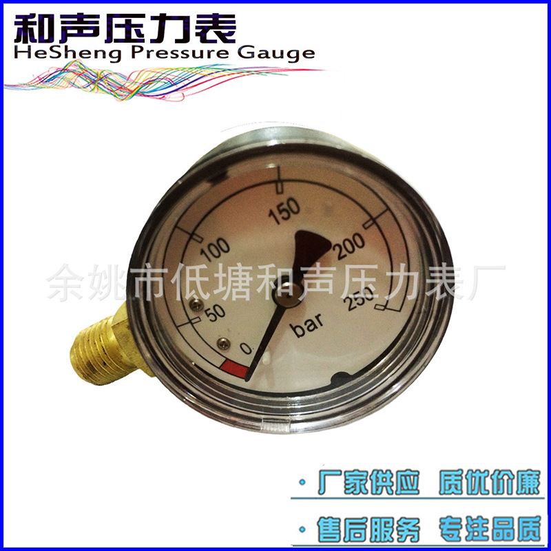 ���ҹ�Ӧ��ͨѹ����Y40������6MPA��ѹ�� ѹ������ձ���ѹ��