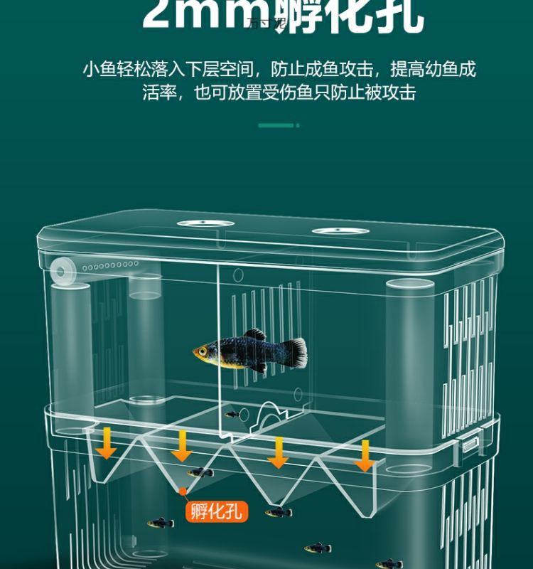 8c078e00-b16a-4462-a6bb-7d4e9e41de19.jpe