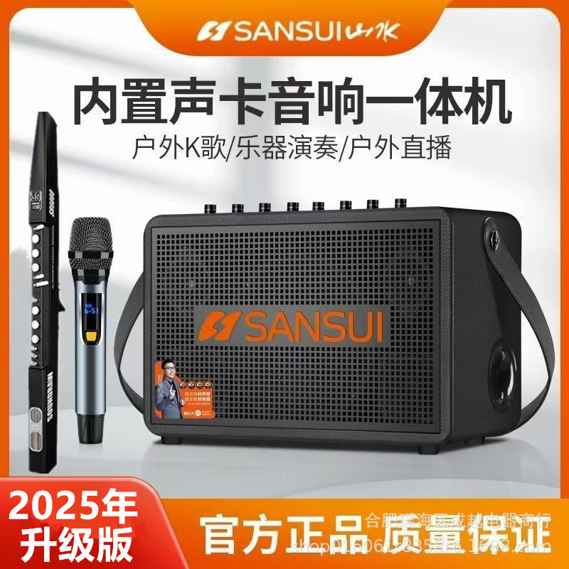 Shanshui 350Ro Portable Bluetooth Speaker for Electric Wind Instruments, Suitable for Home and Outdoor Singing, with Built-In Recording and High Power