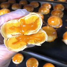 �S�ҬF؛���������ʳ�ֹ������ѩ�������������