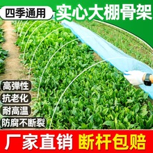 小型小温室杆拱棚菜园玻璃纤维实心大棚骨架蔬菜地膜塑料塑料养殖