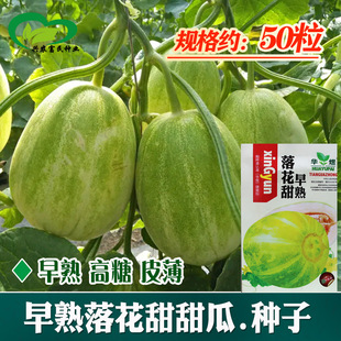 �����仨����ϷN�� �r��ˈ@���������������ˮ����