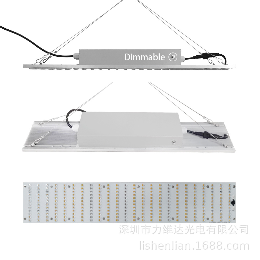 ledֲ ֲ̫ﲹƼôﻨ