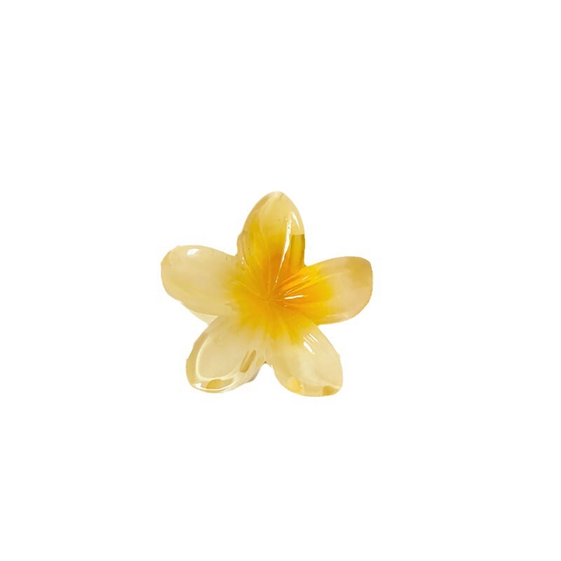 4CMの卵の花は国境を越えて熱売します。|undefined
