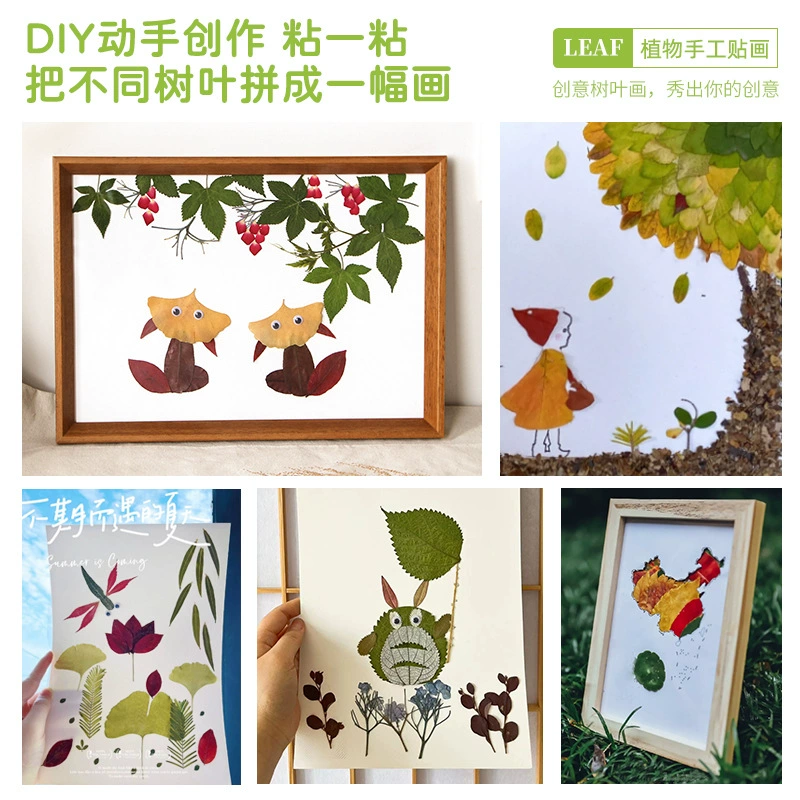 Картина листьев наклейка ручной работы для начальной школы детские растения DIY Материал Пакет настоящий Творческий осенний образец растения