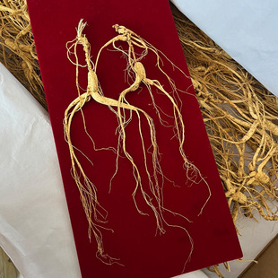 �L��ɽ������˅�����20����gҰ��ɽ�� �ݾ��Ҝ�����15��