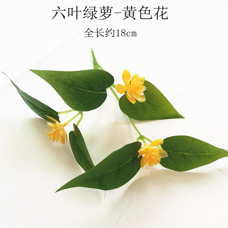【六叶绿萝-黄色花】.jpg