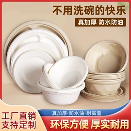 可降解餐具;一次性碗碟;一次性餐盒