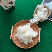 �S�����l��ëÓ֬Ӣ����ë�����ë�Ƀ��o��ζ��ëԭ��