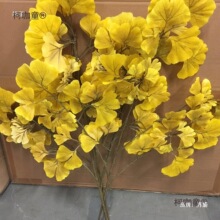 �y���~���Ͻ������w��֦���~�����Sɫ���@���b��~��̫��