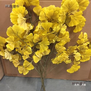 �y���~���Ͻ������w��֦���~�����Sɫ���@���b��~��̫��