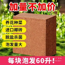 ��KҬ�u�I�B���N��Ҭ����9��Ó�}��Ҭ��Ҭ�����l�B��ͨ��������