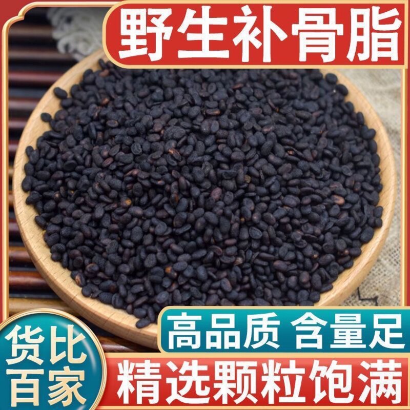 Good Quality Psyllium Husks, Psyllium Powder, New Psyllium Husks, Black Psyllium Husks