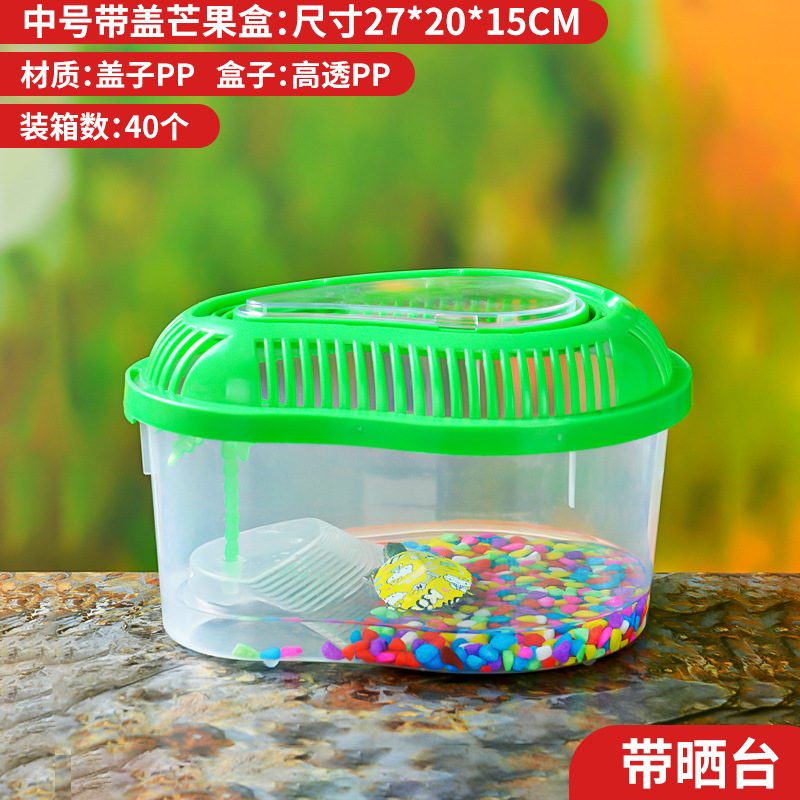 中号.jpg