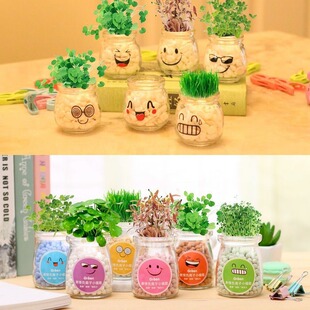 Long Grass Doll Cool Expression Creative Lishi Potted Plant Ornaments Gift Toy Micro Landscape Basin Shake Tone Explosions