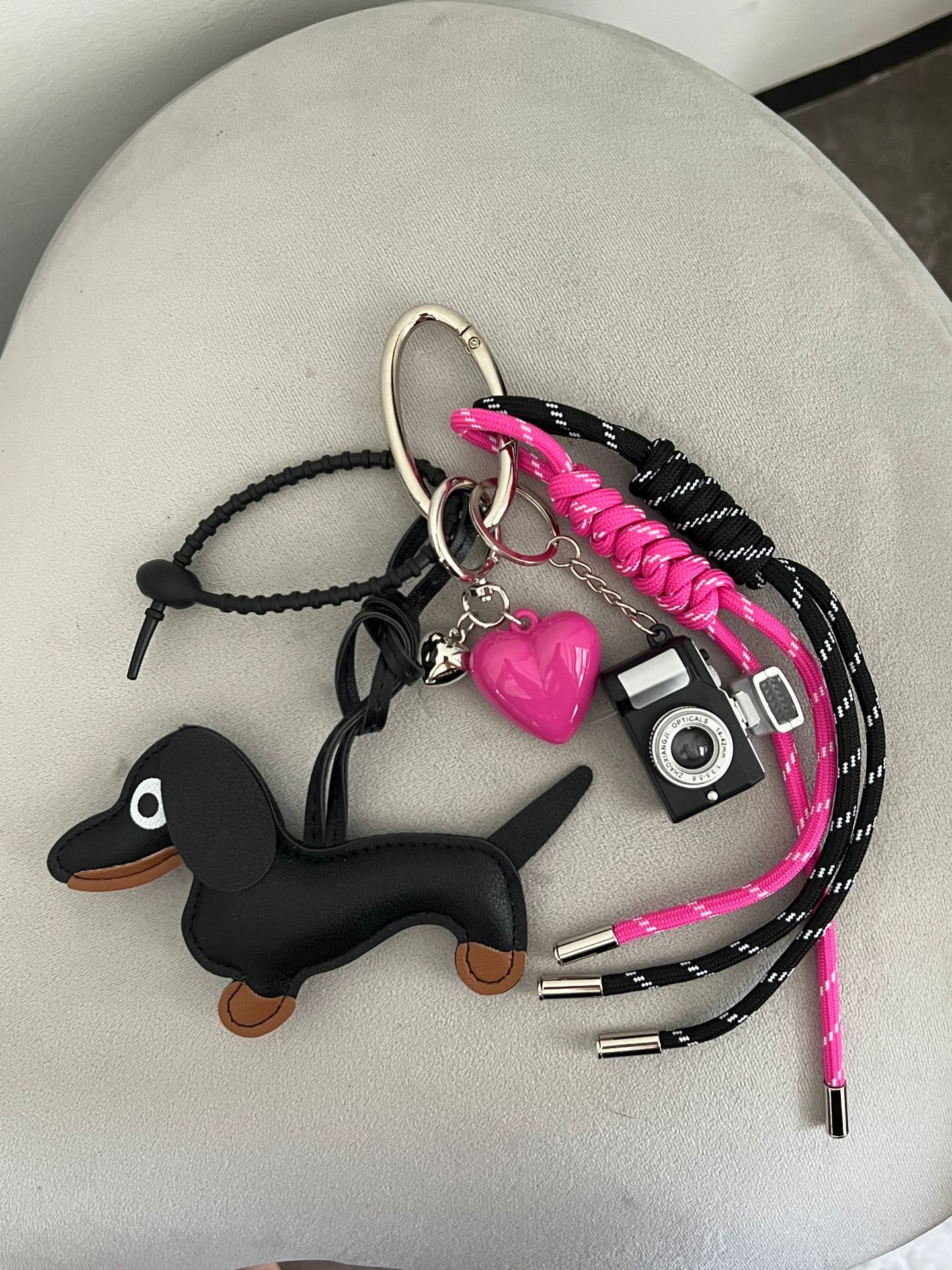 닥스훈트 핑크 하트 카메라 모델