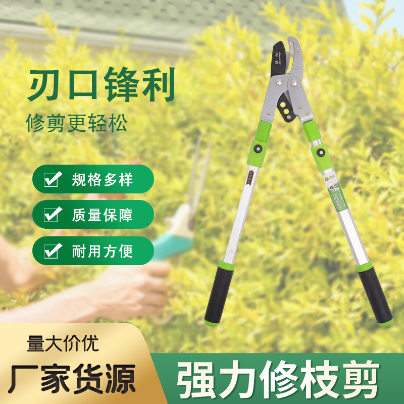 园林修枝剪花卉剪枝剪刀果树剪子修剪树枝剪刀强力修花剪园艺剪刀