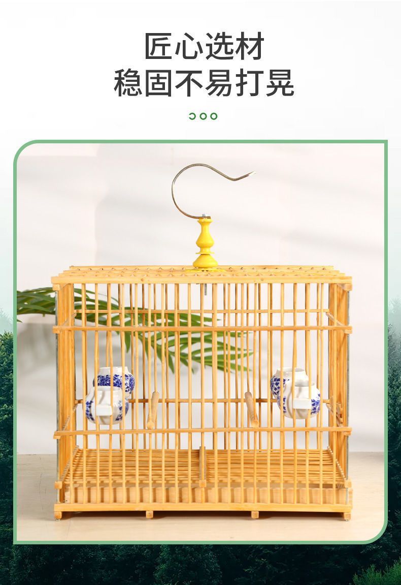 2e69c059-ac31-4d2f-ba10-004af0a5a573.jpe