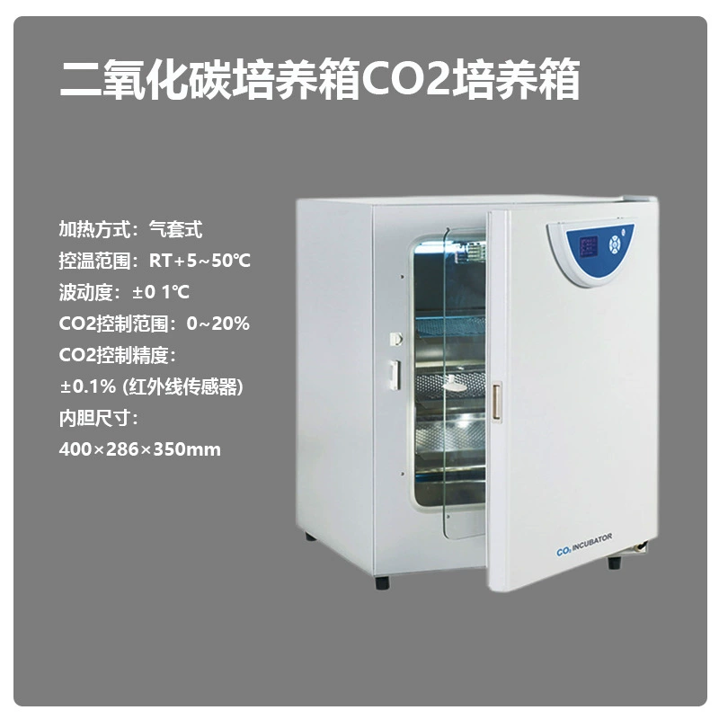 Один постоянный BPN-40CRH двуокиси углерода CO2 инкубатор BPN-80CRH BPN-150CRH