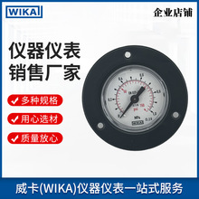 wika带边压力表 高精度测量 工业通用可订货111.12.040系列压力表