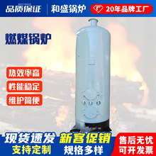 80型小型燃煤熱水鍋爐學校廠房熱水取暖兩用鍋爐立式常壓燃煤鍋爐