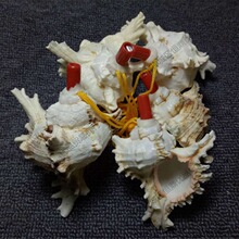 �S�ҹ�����Ȼǧ�ֺ��ݿ��ں���ؐ�����ӹ�ˇƷ��ͯ��߾��^���u