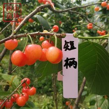 ���̱������硿����4�¸�҉]����t�Ի��Ϸ��ɷN1 2 3����Ҙ���