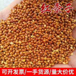 ���l�t�����s�Z�t������ɫ���������кڰ������Bʳ�����������l