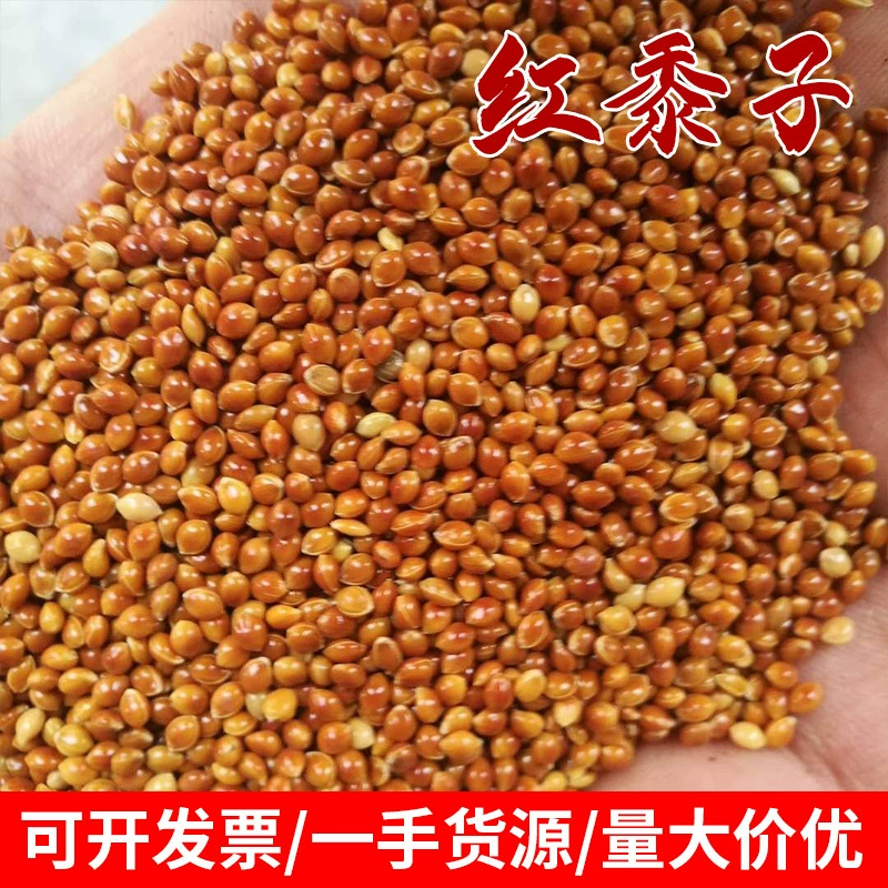 Оптовая продажа красного проса, многозернового красного проса, пятицветного проса, проса с черным и белым просом, корм для птиц, наполнитель для игрушек оптом