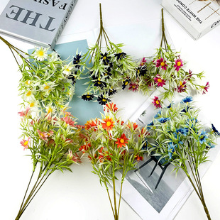 ����5��ˮ��СҰ�� ��@�Ƶ깤�̼ٻ��b� �ҾӔzӰ��ˇ���ߔ[��