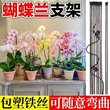 �A�����A�A��ֲ��̶��A�Gֲ�������ٻ����m�������͌���֧�ܳC��