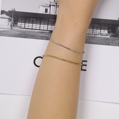 Minimalist Ins Titanium Steel Plated 18k Gold Round Snakeskin Chain Gold Plated Bracelet Adjustable Fashion Accessory Unique Design