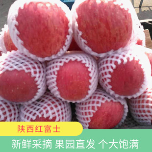 �Fժ�F�l����崨�t��ʿ�O����������֭���rˮ�������O������5��