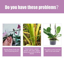 MoonSpry ���χ��Fϵ�� ���ݘ�ľֲ�����L�I�B�o���a����χ��F