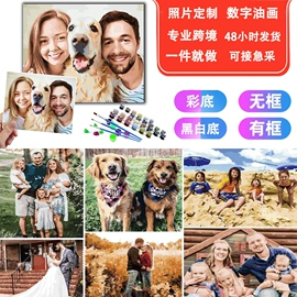 钻石画、皮画;DIY/数字油画;现代装饰画