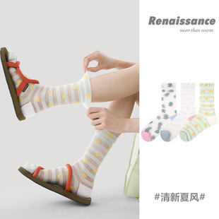Renaissance͸�������z��Ͳ�mŮ�ļ���������͸���ɫ�l�y���z�m