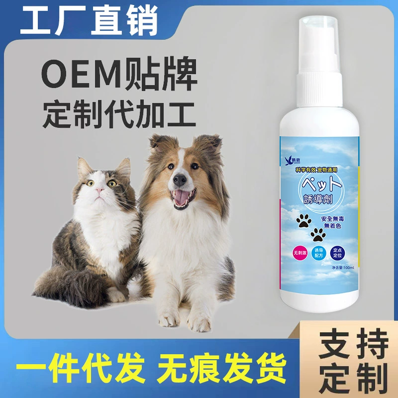 Собачий туалет для предотвращения мочеиспускания собаки