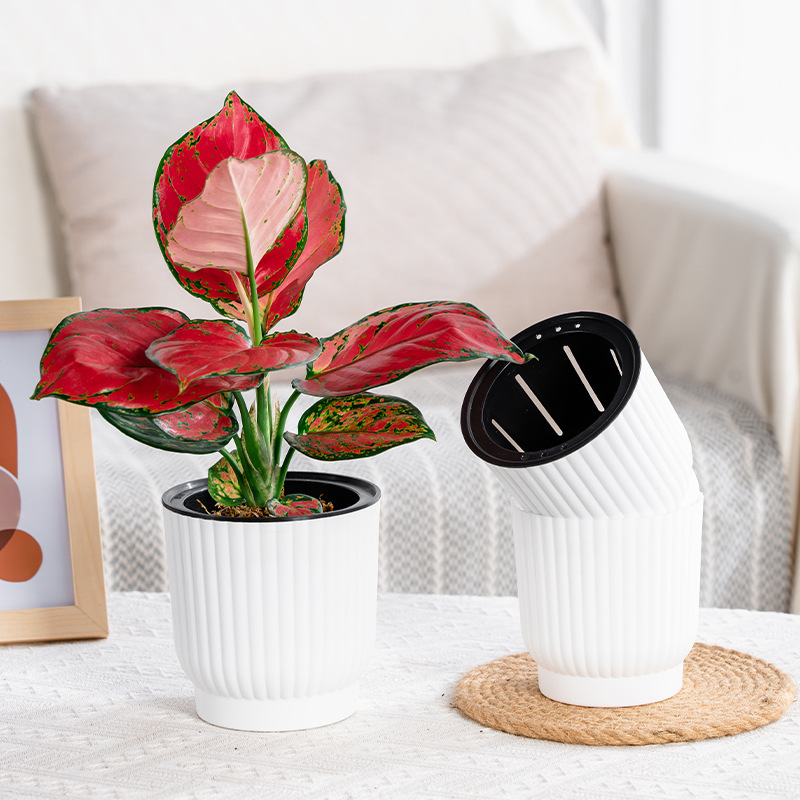 Meixuan perezoso maceta automática absorbente verde planta maceta hidropónica creativa suculentas resina de plástico maceta al por mayor