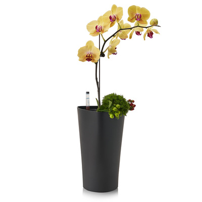 自动吸水懒人花盆绿萝盆栽水培塑料花盆家居酒店桌面圆形多肉花盆