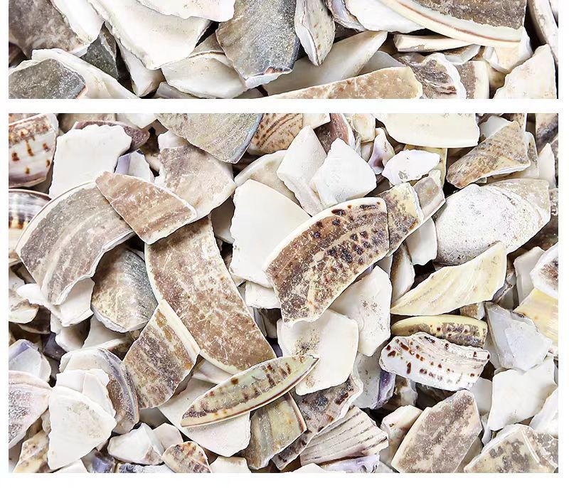 Hai Ge Ke Powder (Meretrix Shell) — Sulfur-Free Raw Sea Clam Shell Herbal Powder in use