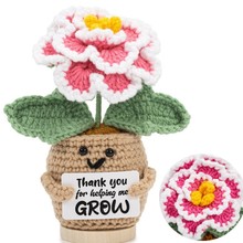 �羳�ֹ��������տ��������Ԕ[�� Emotionlal Support Plant Gift