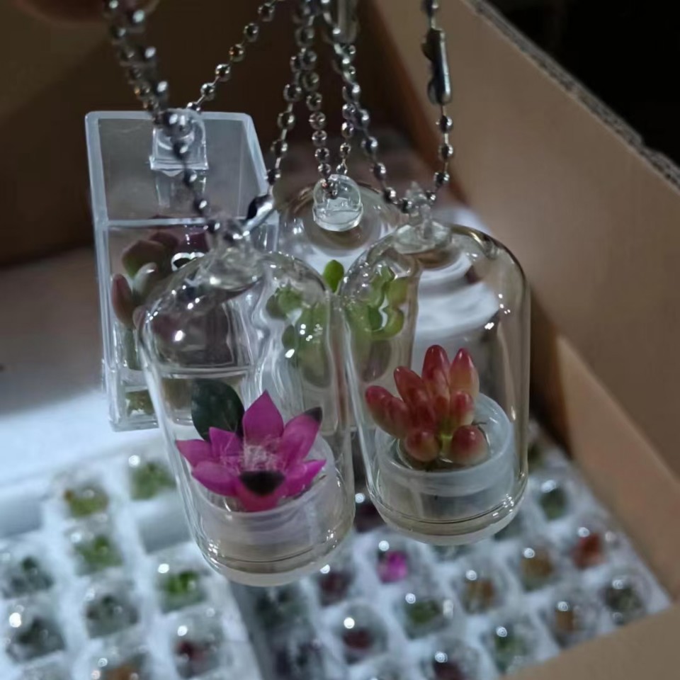 小型多肉挂件仙人掌钥匙扣植物宝宝微缩盆栽