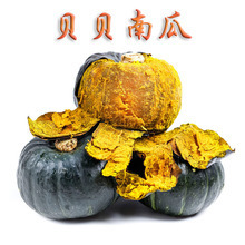 Fresh Baby Pumpkin Sweet and Fluffy Authentic Baby Pumpkin Freshly Picked and Shipped Fresh Infant Complementary Food Pumpkin