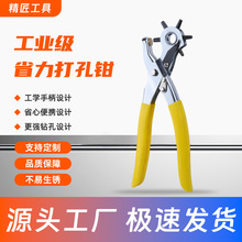 ʡ����Ƥ������Q�๦�܈A�ױ���քӴ��������Ƥ����ܱ�����Q