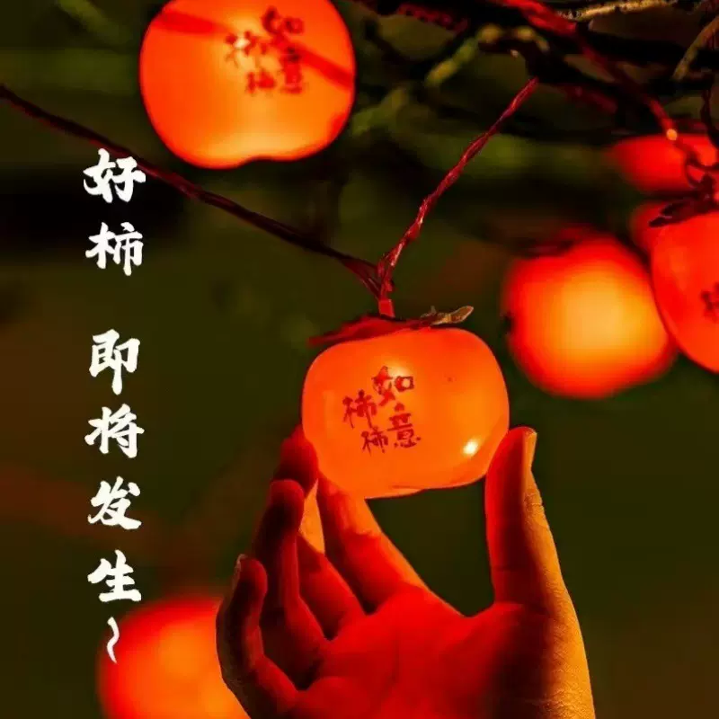 柿柿如意led 新年装饰柿子灯串 户外防水过年5氛围灯庭院挂树彩灯